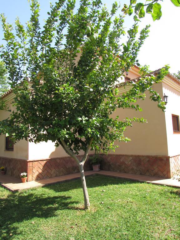 Casa Rural Oregano Carmona  Buitenkant foto