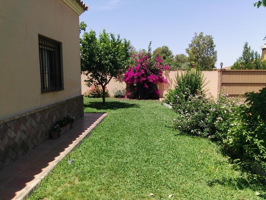 Casa Rural Oregano Carmona  Buitenkant foto
